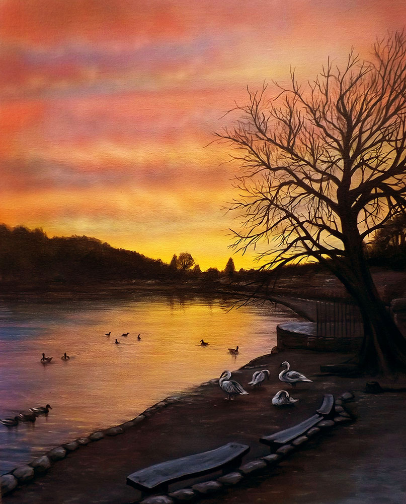 Sunset Swans on Newmillerdam by Jenny Hutchinson